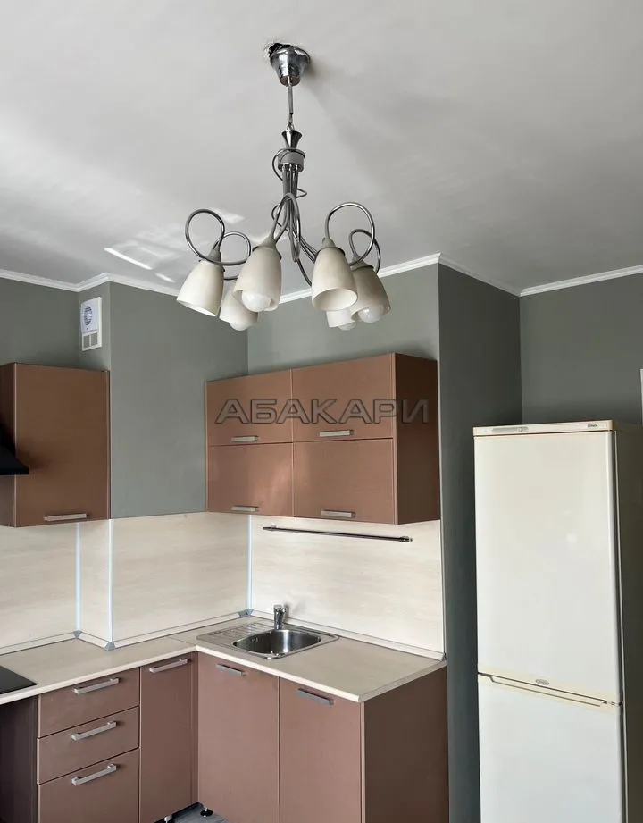 студия улица Чернышевского, 110  за 27000 руб/мес фото 5