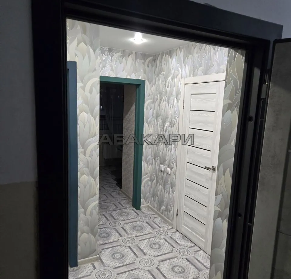 1-комнатная Соколовская улица, 74  за 30000 руб/мес фото 3
