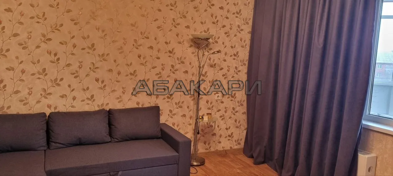 1-комнатная улица Чернышевского, 98  за 30000 руб/мес фото 8