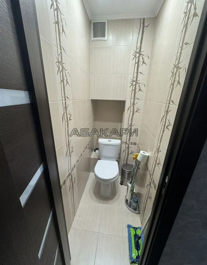 2-комнатная улица Ползунова, 9  за 40000 руб/мес фото 9