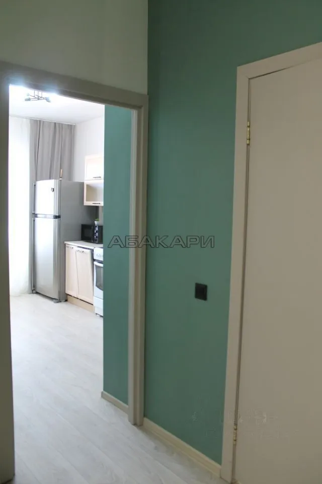 1-комнатная улица Алексеева, 9  за 40000 руб/мес фото 15