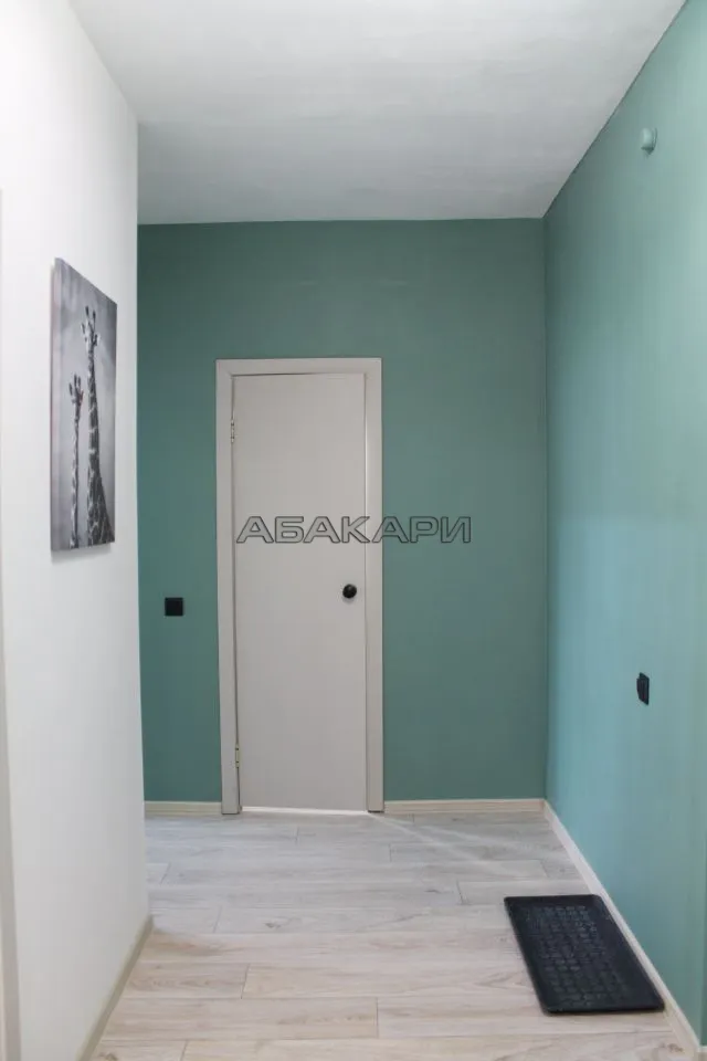 1-комнатная улица Алексеева, 9  за 40000 руб/мес фото 16