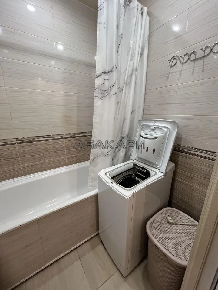1-комнатная Светлогорская улица, 7  за 35000 руб/мес фото 10