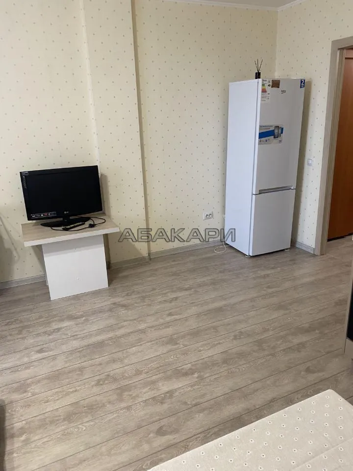 студия Дудинская улица, 2Б  за 32000 руб/мес фото 3