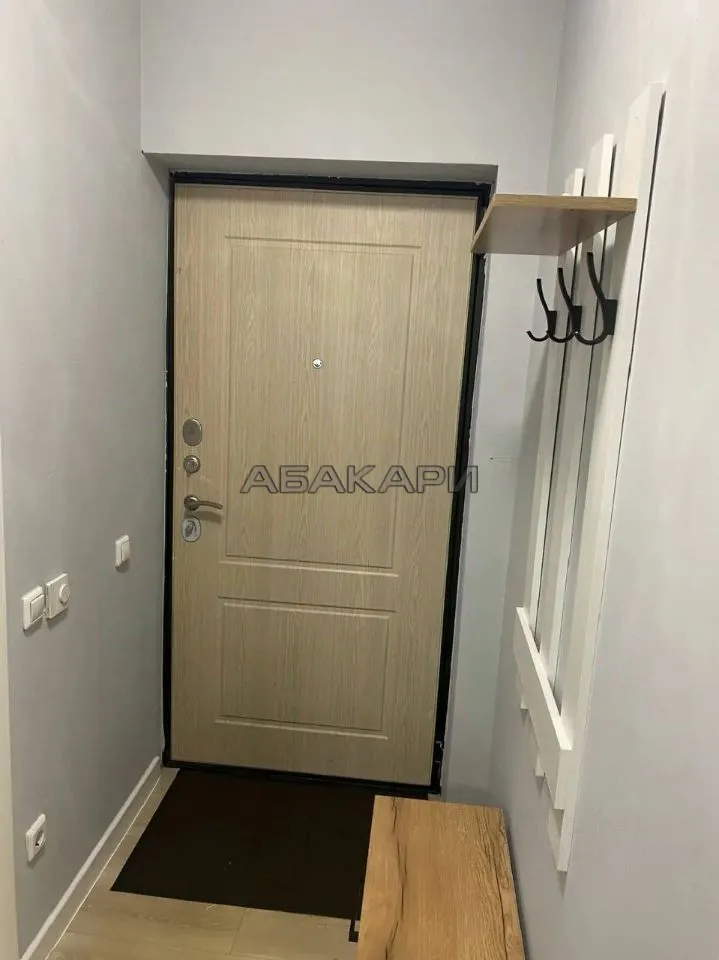 1-комнатная улица Петра Подзолкова, 21  за 32000 руб/мес фото 4