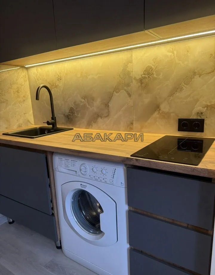 1-комнатная улица Академика Павлова, 81  за 33000 руб/мес фото 3