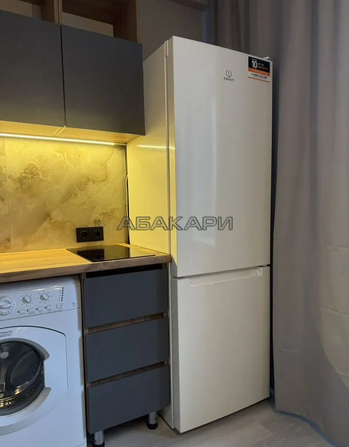 1-комнатная улица Академика Павлова, 81  за 33000 руб/мес фото 5