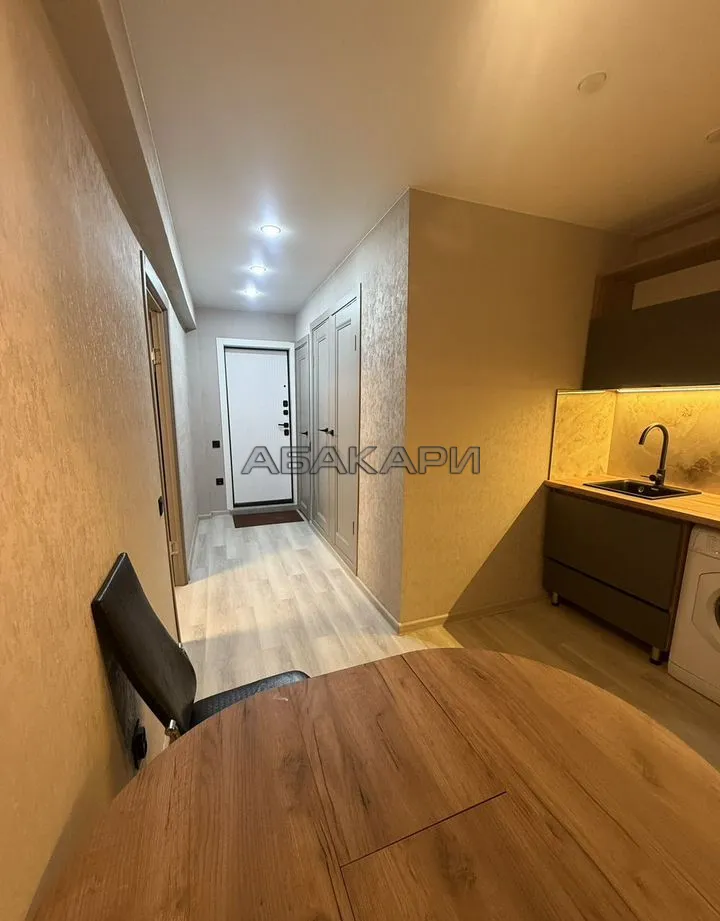 1-комнатная улица Академика Павлова, 81  за 33000 руб/мес фото 7