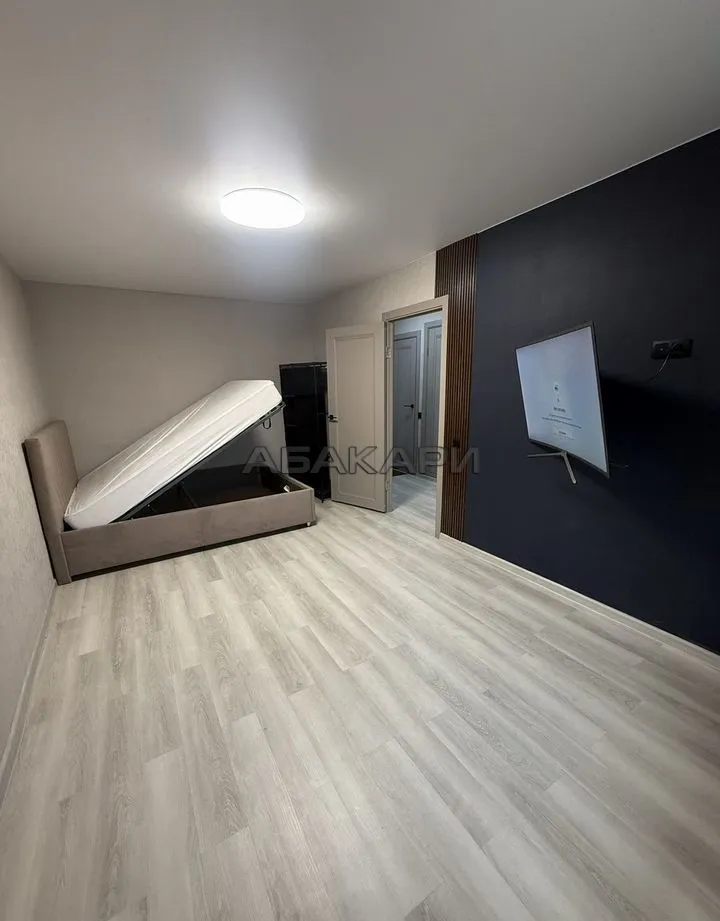 1-комнатная улица Академика Павлова, 81  за 33000 руб/мес фото 4