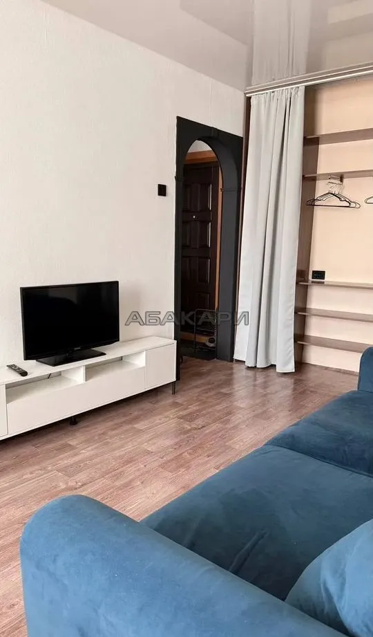 1-комнатная Светлогорская улица, 35  за 35000 руб/мес фото 4