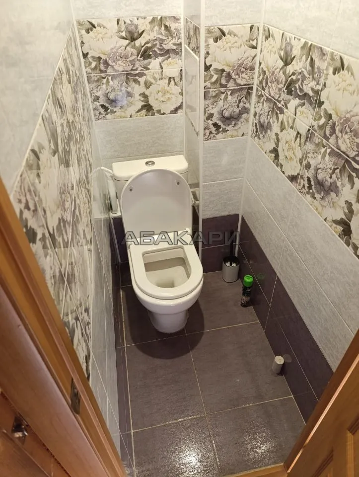 1-комнатная Ульяновский проспект, 28  за 28000 руб/мес фото 9