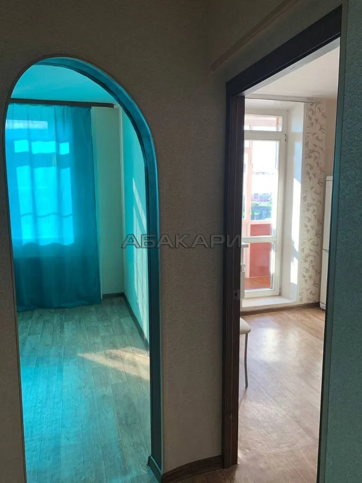 1-комнатная улица Алексеева, 27  за 30000 руб/мес фото 11