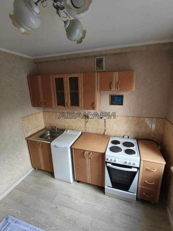 1-комнатная улица Академика Павлова, 51  за 24000 руб/мес фото 1