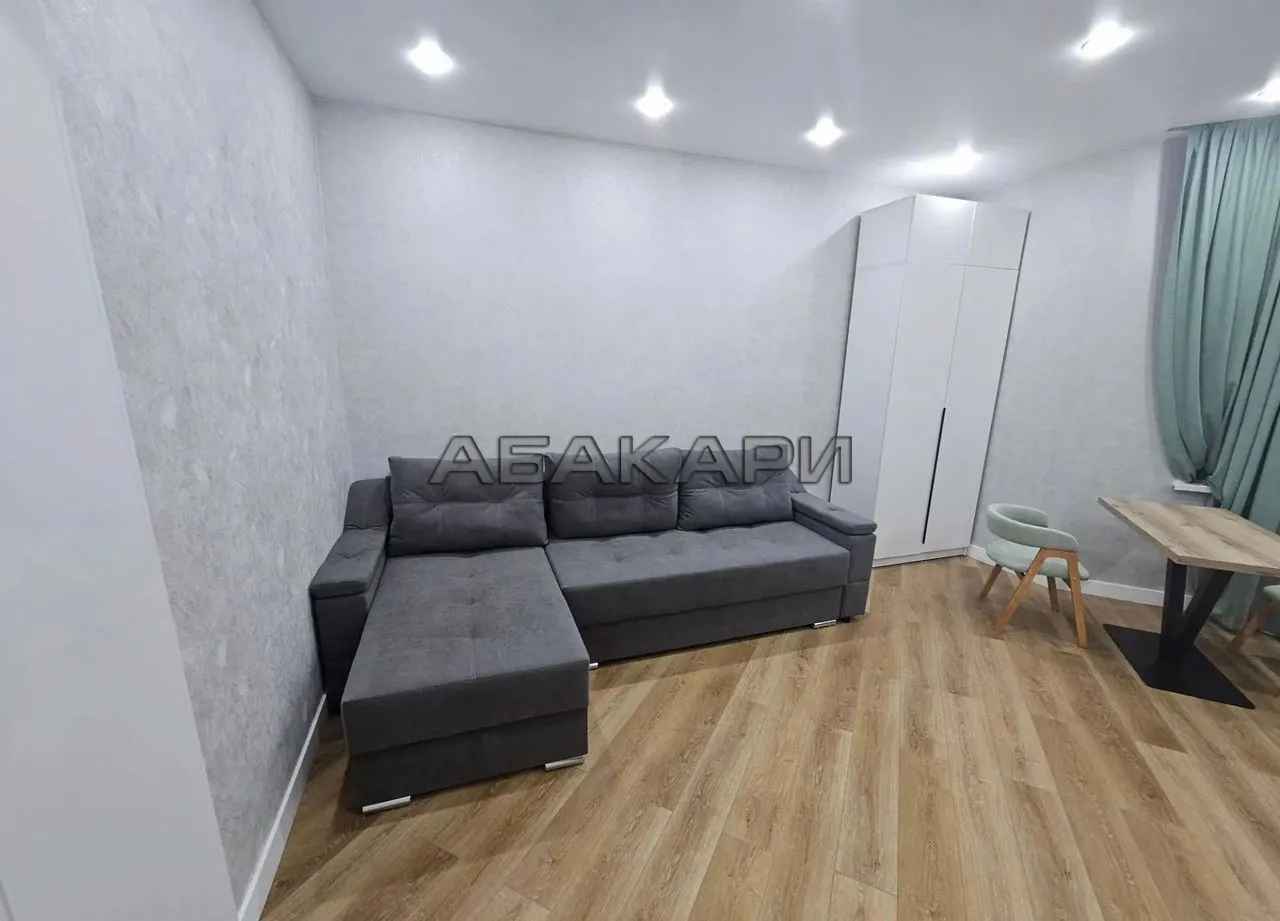 студия улица Петра Подзолкова, 10  за 42000 руб/мес фото 2