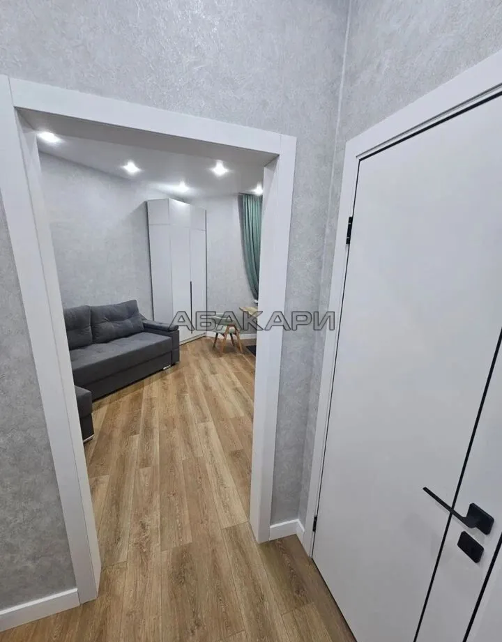 студия улица Петра Подзолкова, 10  за 42000 руб/мес фото 4