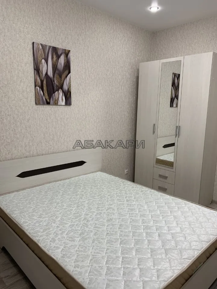 2-комнатная улица Петра Подзолкова, 4  за 48000 руб/мес фото 3