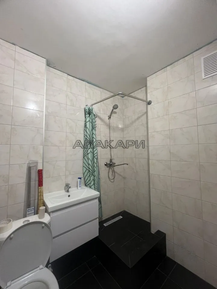 студия Соколовская улица, 64  за 23000 руб/мес фото 5