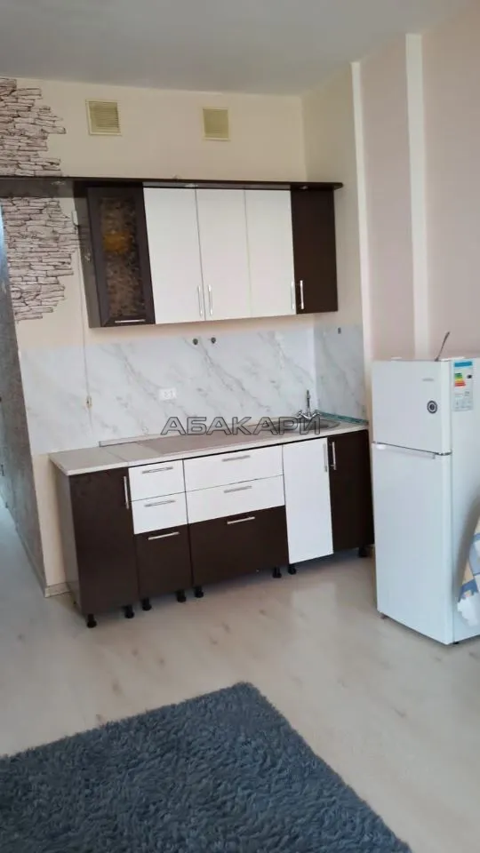студия улица Мичурина, 2Ж за 24000 руб/мес фото 2 студия улица Мичурина, 2Ж за 24000 руб/мес фото 2