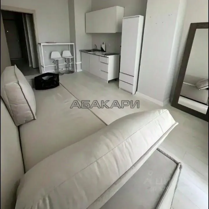 студия Караульная улица, 39А  за 30000 руб/мес фото 8