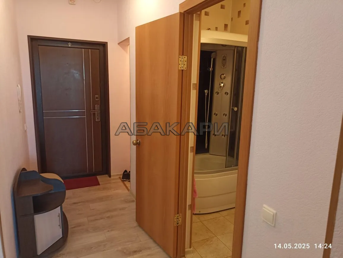 1-комнатная улица 78-й Добровольческой Бригады, 40  за 34000 руб/мес фото 18