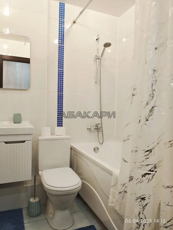 студия улица Любы Шевцовой, 88  за 35000 руб/мес фото 11