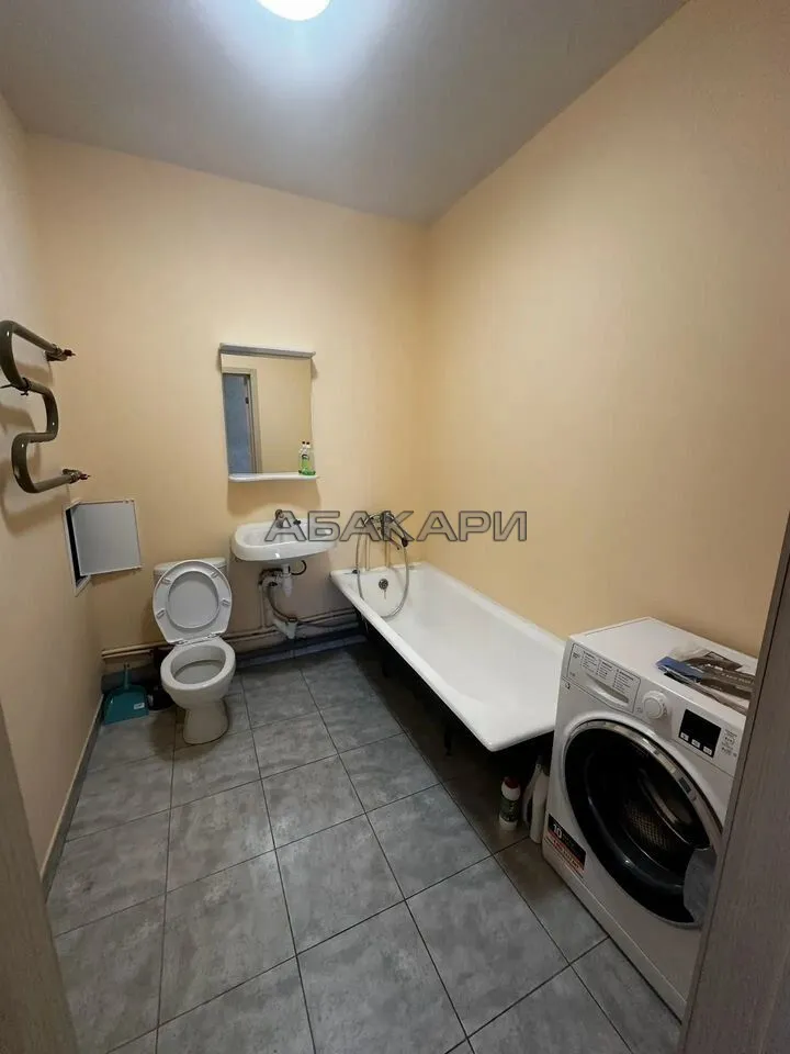 1-комнатная Светлогорский переулок, 10Г  за 34000 руб/мес фото 8