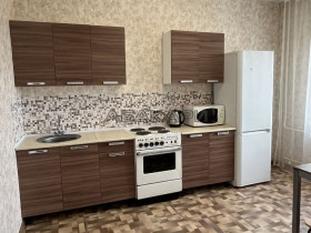 аренда Дмитрия Мартынова, 35 1-комнатная 33000