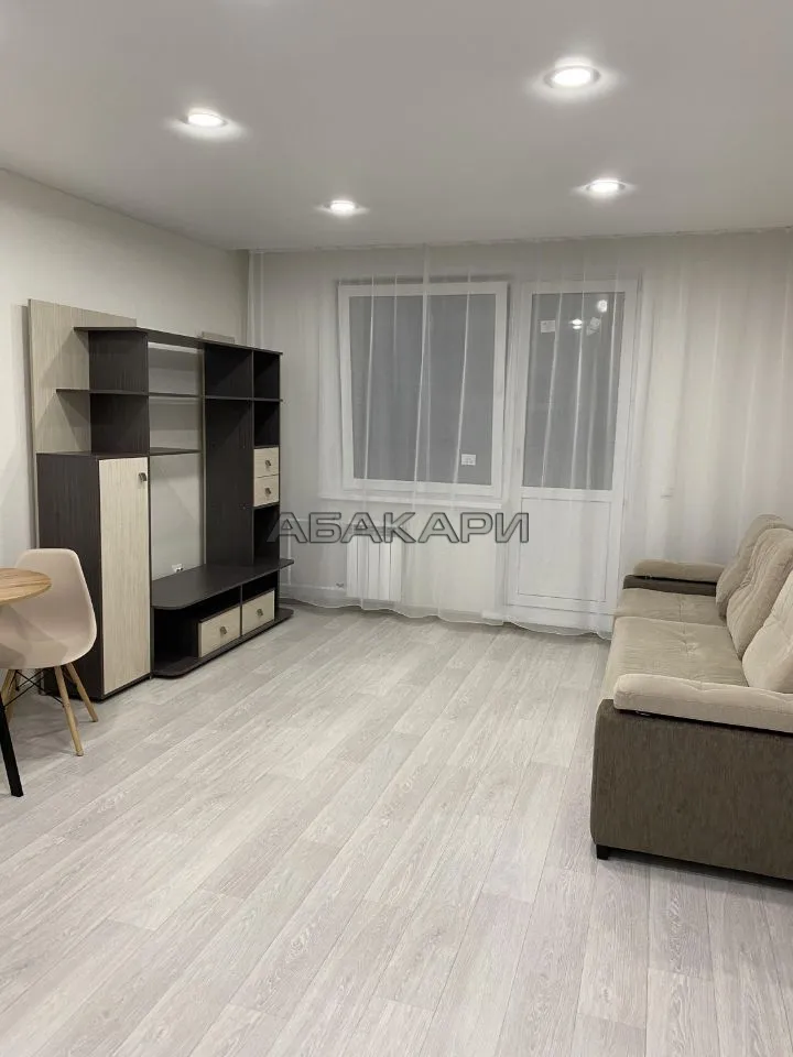 студия Дудинская улица, 2Е  за 33000 руб/мес фото 1