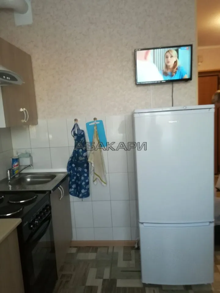 1-комнатная Светлогорский переулок, 9  за 28000 руб/мес фото 4