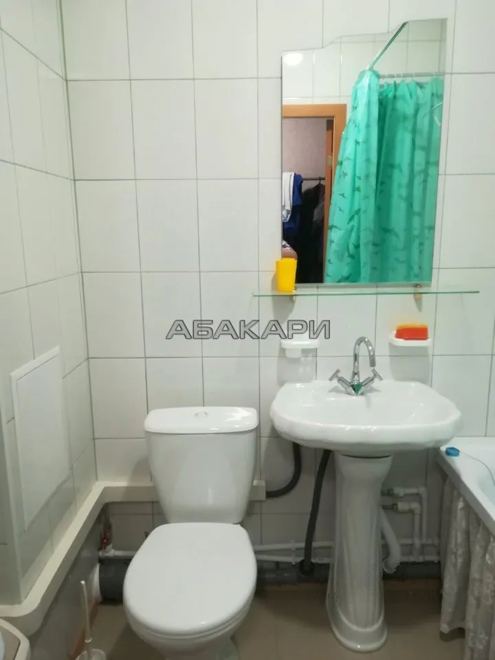 1-комнатная Светлогорский переулок, 9  за 28000 руб/мес фото 8