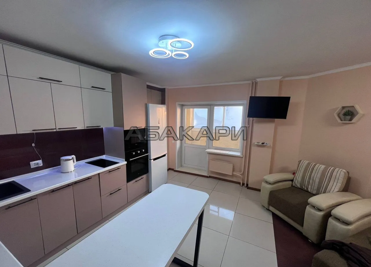 студия Светлогорская улица, 11А  за 35000 руб/мес фото 9
