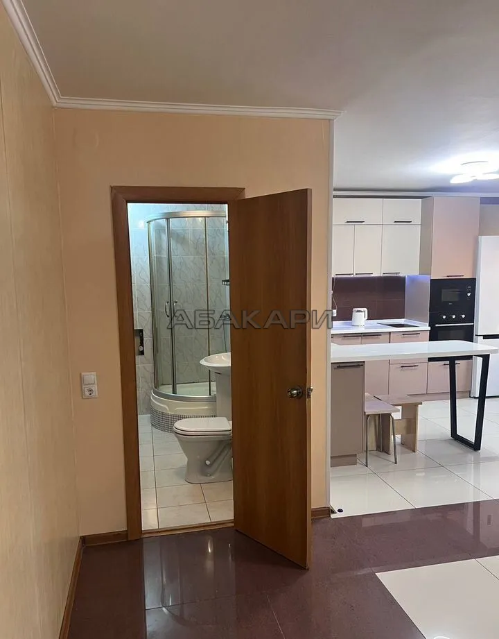 студия Светлогорская улица, 11А  за 35000 руб/мес фото 10