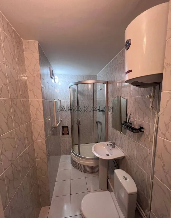 студия Светлогорская улица, 11А  за 35000 руб/мес фото 12