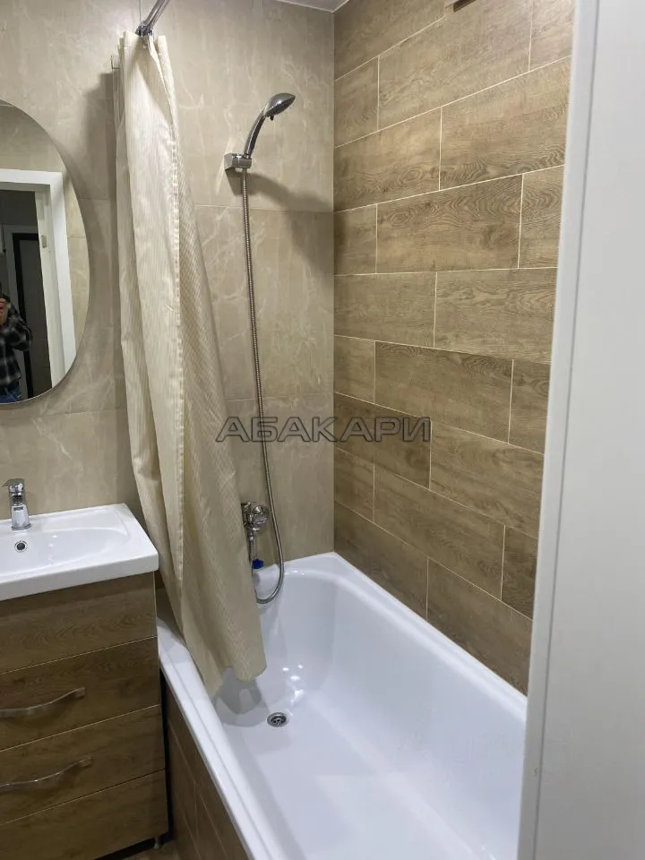 1-комнатная Светлогорский переулок, 10Б  за 40000 руб/мес фото 5