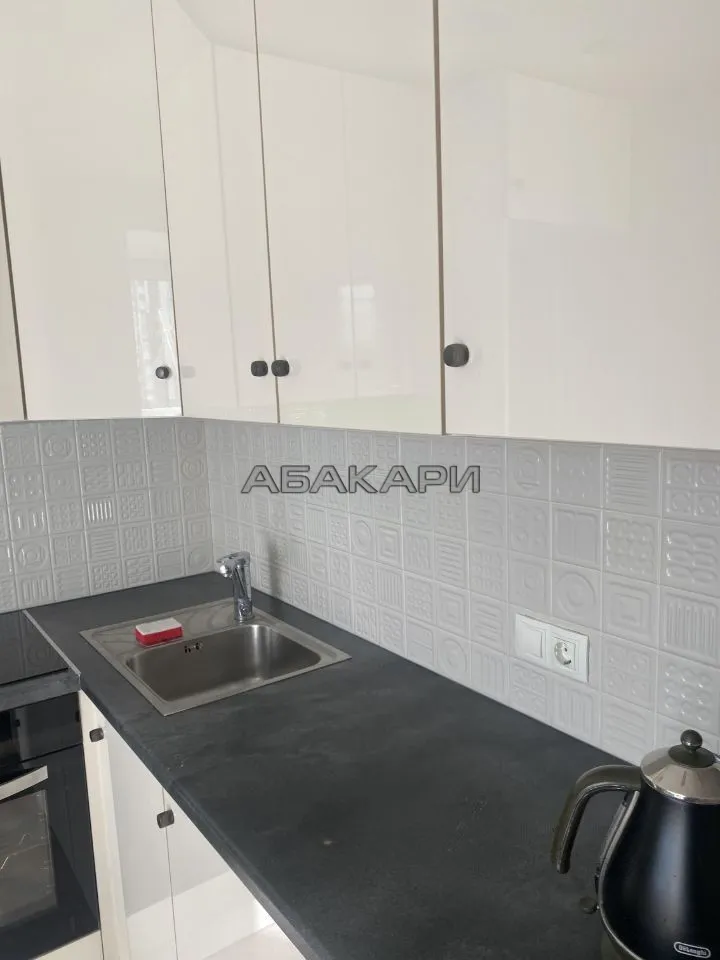 1-комнатная Светлогорский переулок, 10Б  за 40000 руб/мес фото 7
