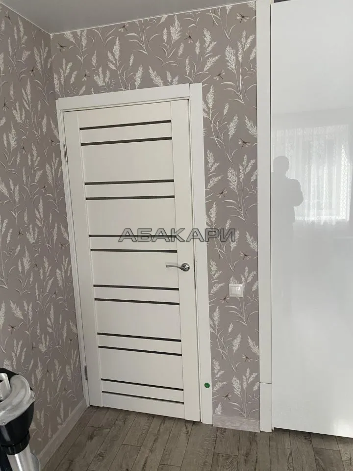 1-комнатная Светлогорский переулок, 10Б  за 40000 руб/мес фото 11