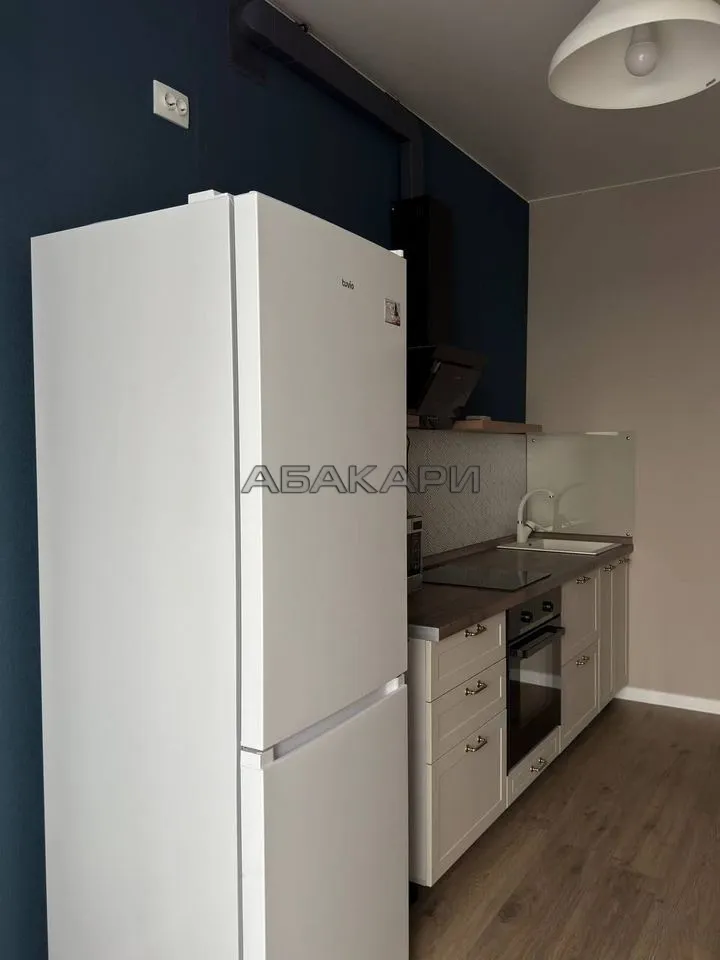 1-комнатная Регатная улица, 3  за 50000 руб/мес фото 9