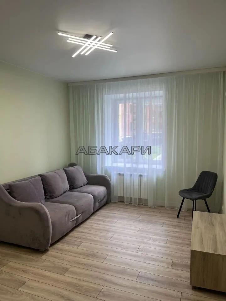 1-комнатная Телевизорный переулок, 5А  за 45000 руб/мес фото 4
