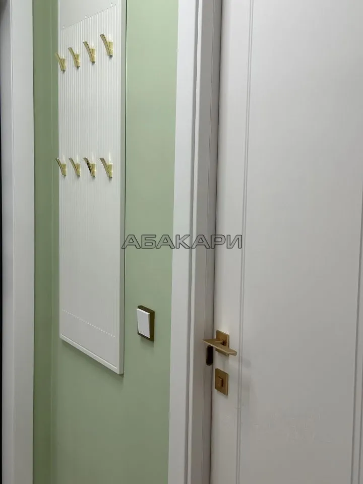 студия улица Петра Подзолкова, 22  за 45000 руб/мес фото 25