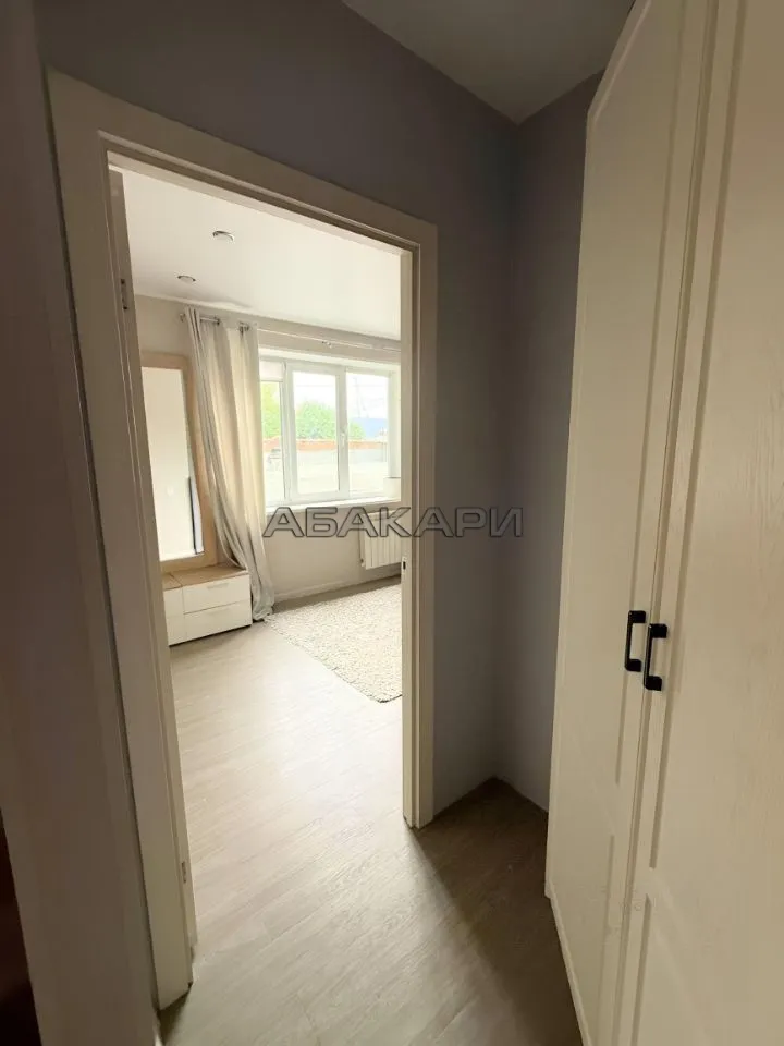 1-комнатная улица Дубровинского, 58  за 45000 руб/мес фото 7
