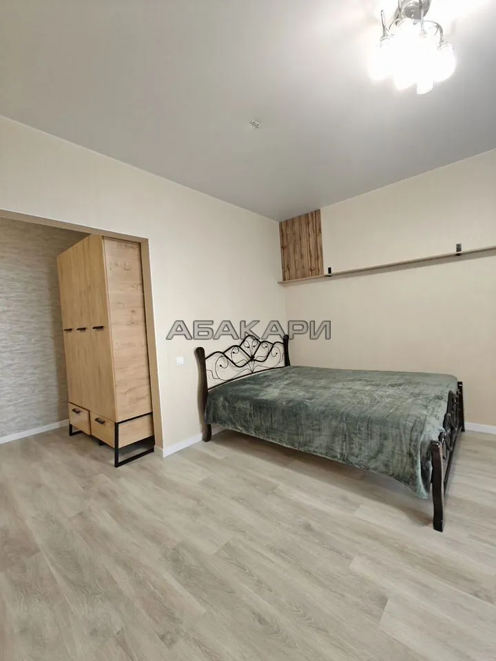 1-комнатная улица Петра Подзолкова, 3И  за 35000 руб/мес фото 3