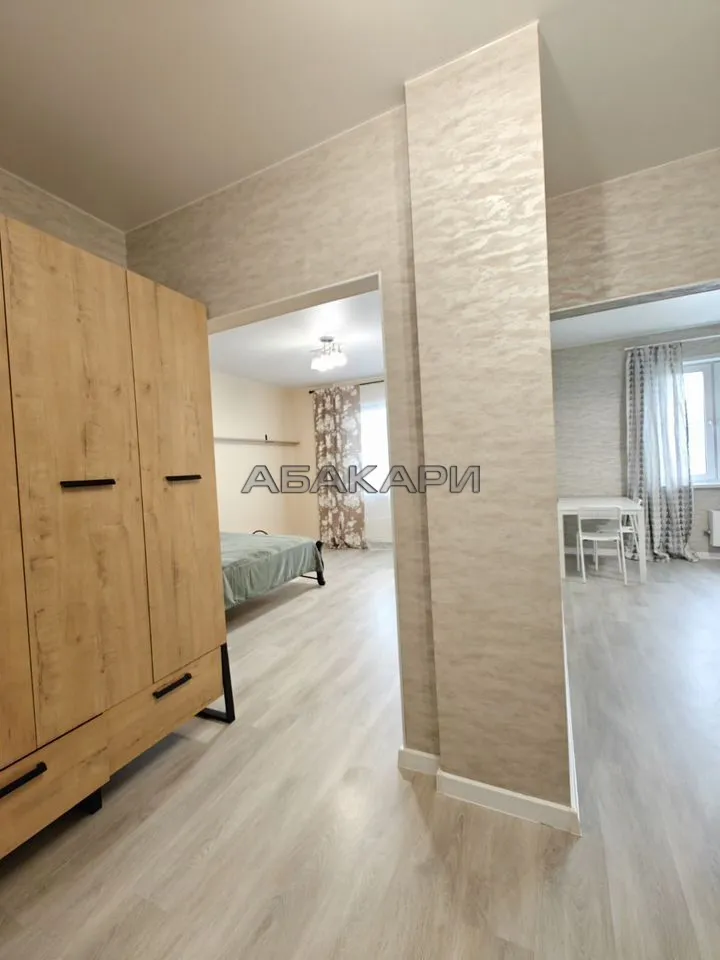 1-комнатная улица Петра Подзолкова, 3И  за 35000 руб/мес фото 4