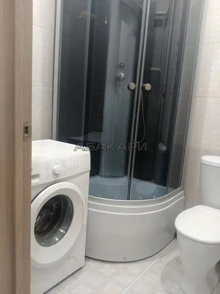 студия Лесопарковая улица, 33  за 25000 руб/мес фото 7