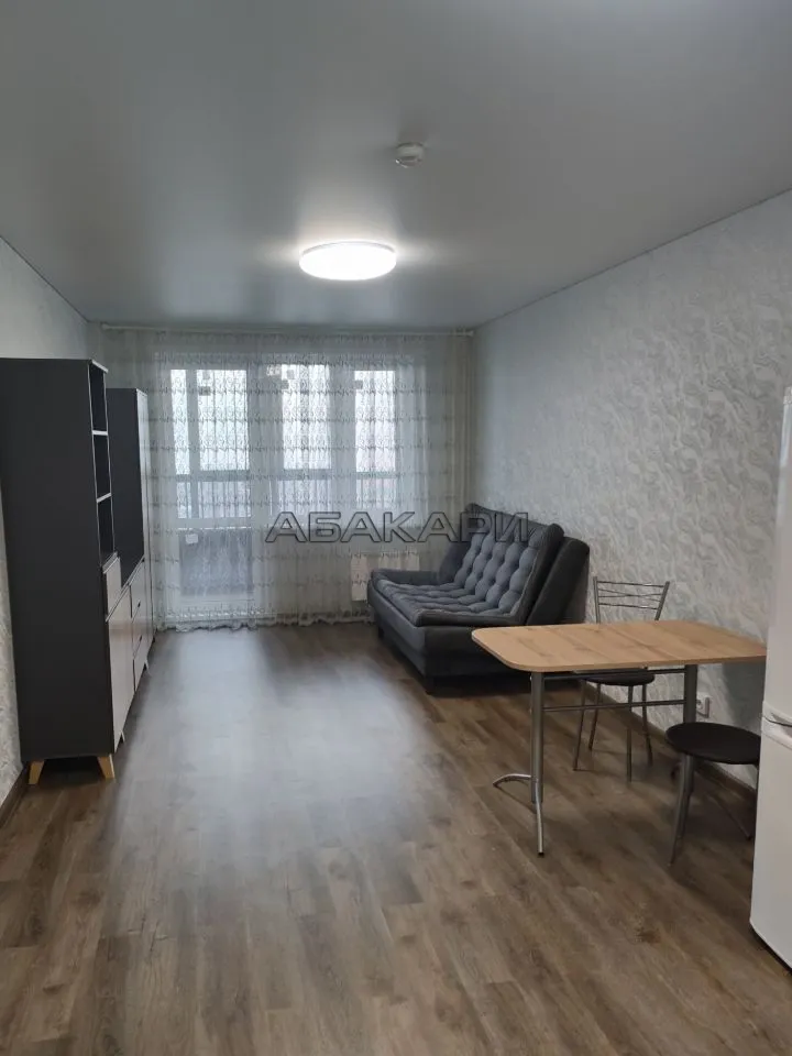 студия Соколовская улица, 64  за 24000 руб/мес фото 2