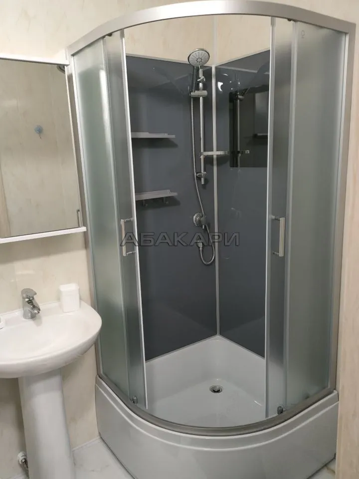 студия Соколовская улица, 64  за 24000 руб/мес фото 6