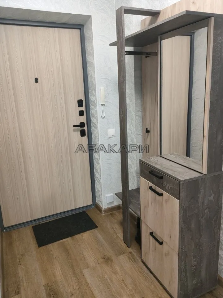 студия Соколовская улица, 64  за 24000 руб/мес фото 5