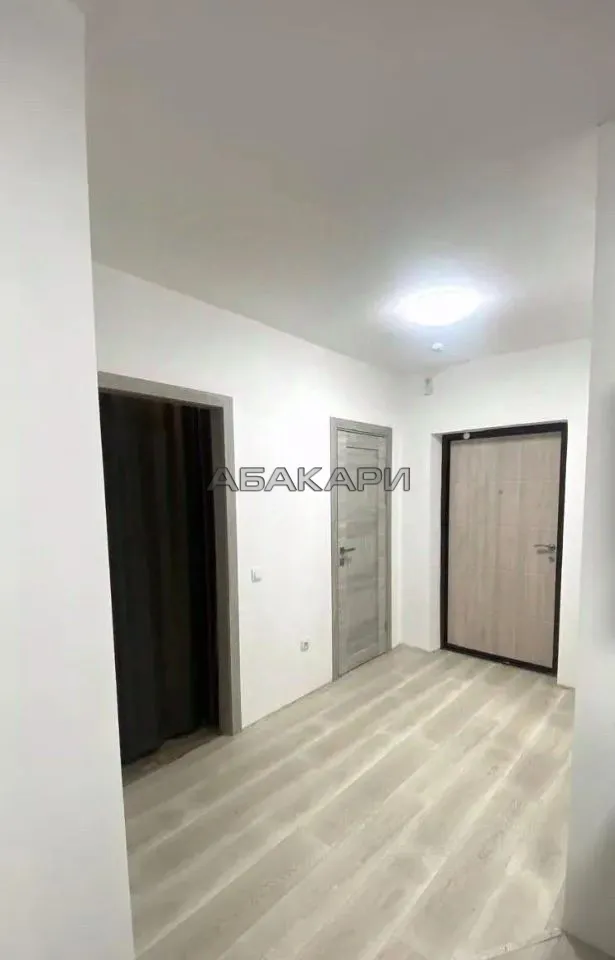 2-комнатная Дудинская улица, 2Е за 39000 руб/мес фото 7 2-комнатная Дудинская улица, 2Е за 39000 руб/мес фото 7