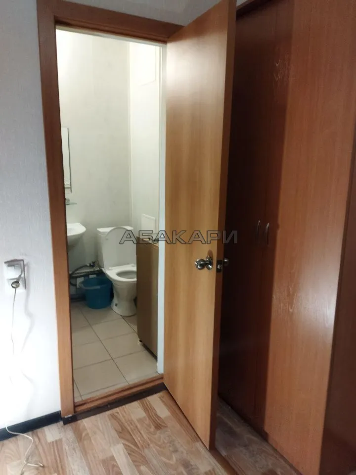 1-комнатная Светлогорская улица, 11А  за 32000 руб/мес фото 15