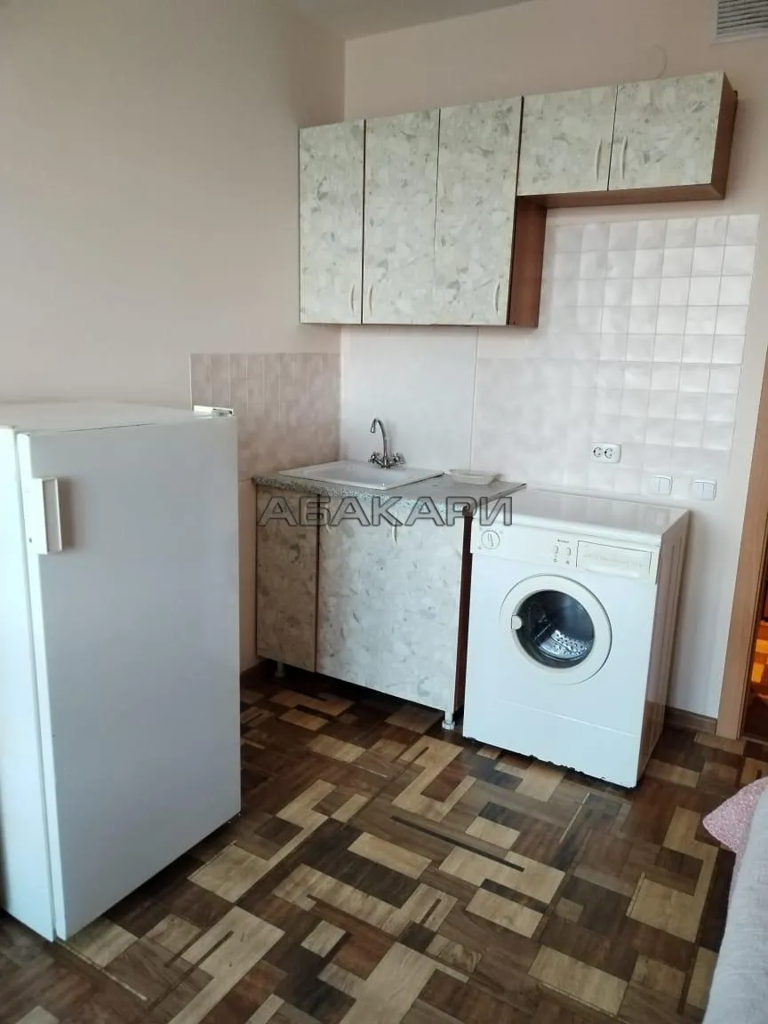 студия Лесопарковая улица, 21  за 23000 руб/мес фото 3