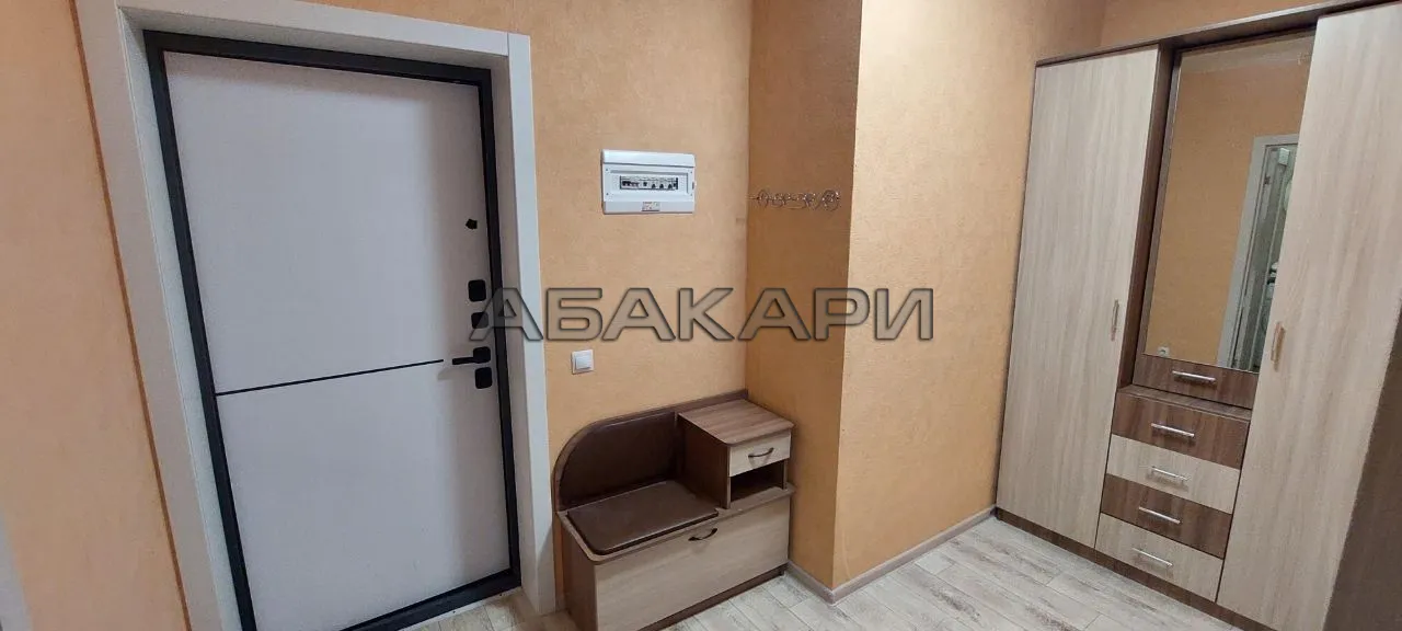 1-комнатная улица Петра Подзолкова, 20  за 40000 руб/мес фото 12